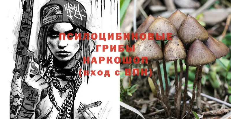 что такое наркотик  Каневская  Галлюциногенные грибы Psilocybe 